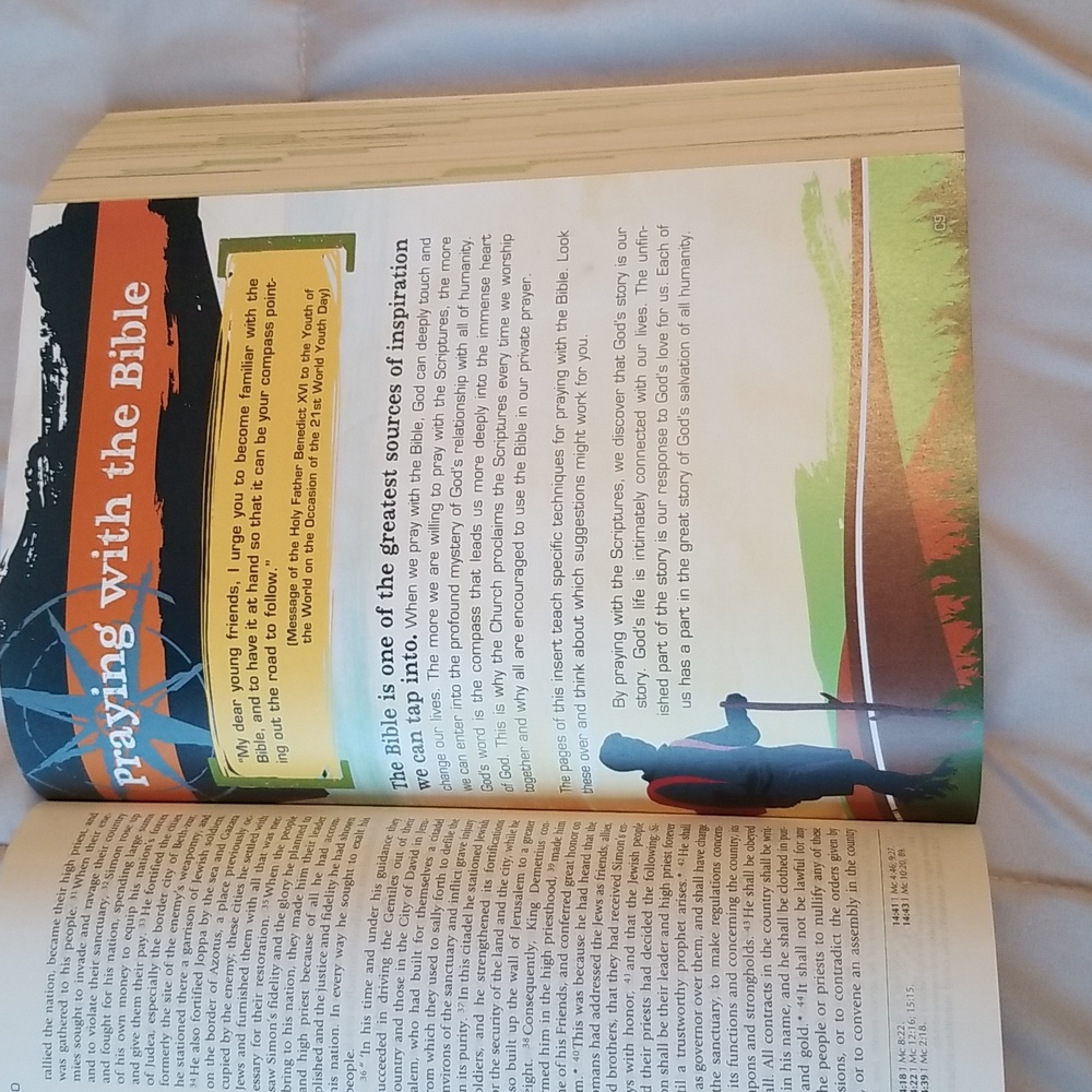 Catholic Youth Bible - Picture 5 of 11